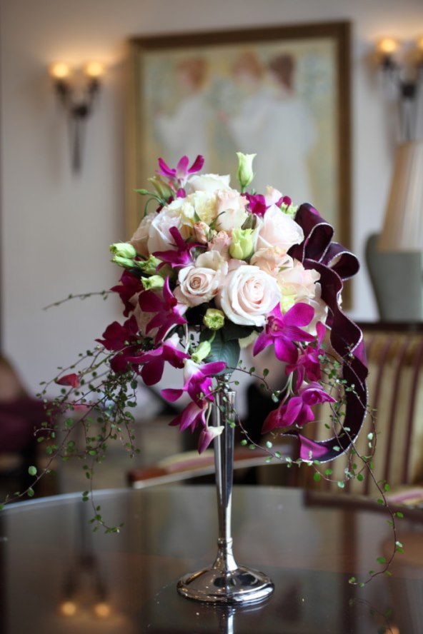 renata-roginic-cvjecarnica-fiola