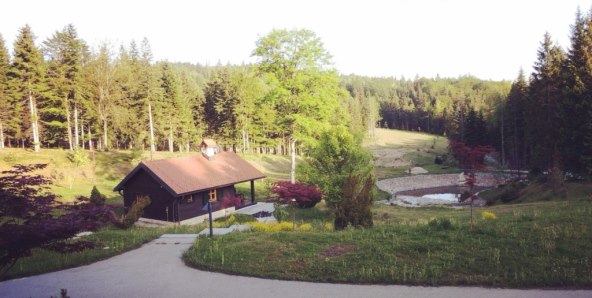 maple-valley-na-korak-do-vas