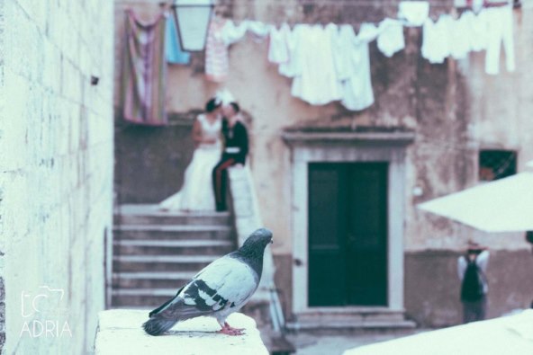 muke-po-vjencanju-2-dio