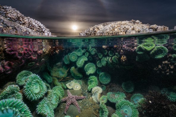 national-geographic-hrvatska-otkriva-zasto-je-vjera-mocan-lijek-potrazite-novo-izdanje-na-svim-kioscima