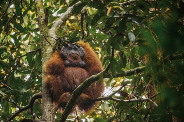 national-geographic-hrvatska-otkriva-zasto-je-vjera-mocan-lijek-potrazite-novo-izdanje-na-svim-kioscima