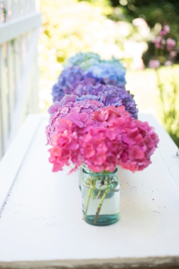 obozavane-hortenzije