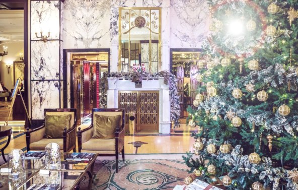 velicanstvena-terasa-oleander-i-procelje-zagrebacke-esplanade-osvanuli-su-u-svjetlosnom-bozicnom-ruhu