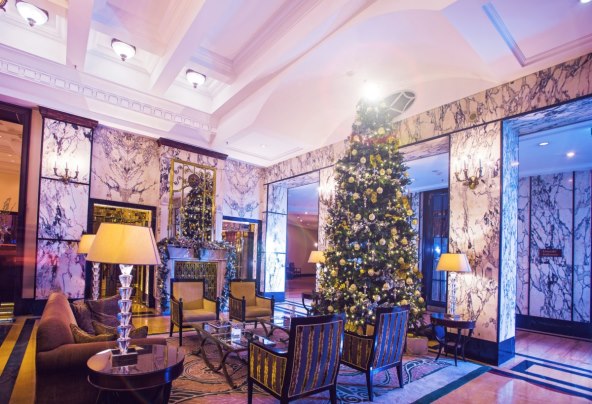 velicanstvena-terasa-oleander-i-procelje-zagrebacke-esplanade-osvanuli-su-u-svjetlosnom-bozicnom-ruhu