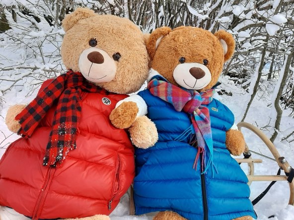 oni-su-ursula-i-bernie-a-ovo-je-njihova-prica