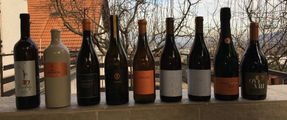 Mala zbirka plešivičkih jantarnih vina.JPG