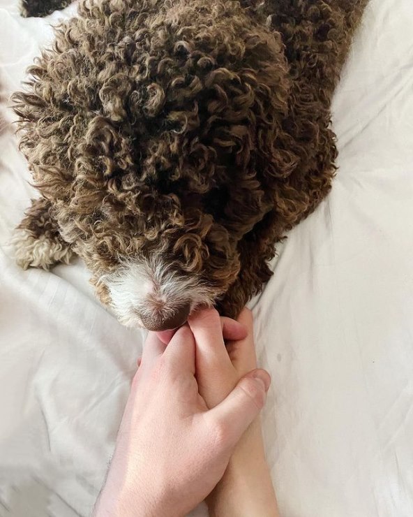 Nika Turković i Matija Cvek