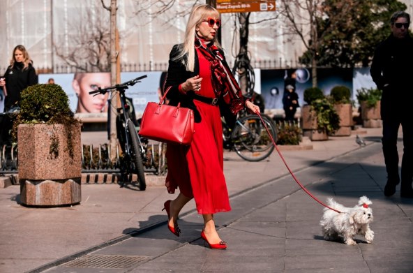 Plavuša na špici prošetala svog ljubimca