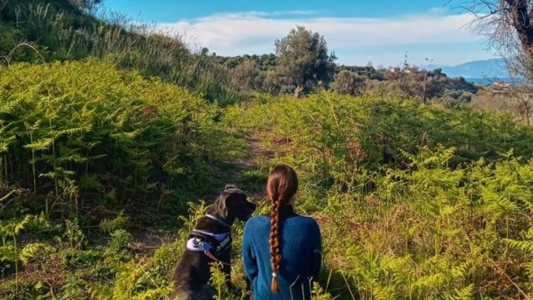 Jezera za izlet u Hrvatskoj.jpg