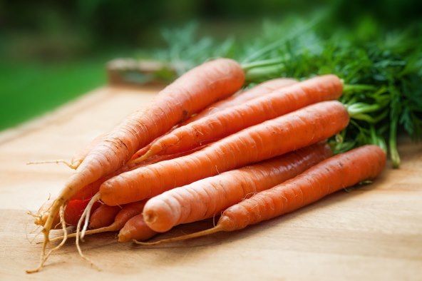 carrots-gaeb743295_1920.jpg