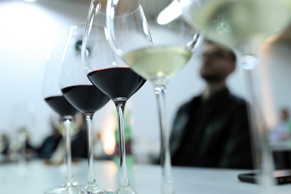 Best of Vinistra_Photo_Emica Elveđi_Pixsell.JPG