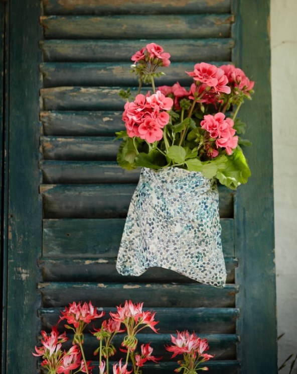 pelargoniums-for-europe-h-SSHRa1M-g-unsplash (1).jpg