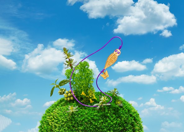 Borboleta obilježava svojih prvih deset godina