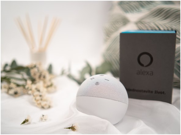 alfa stan grupa alexa