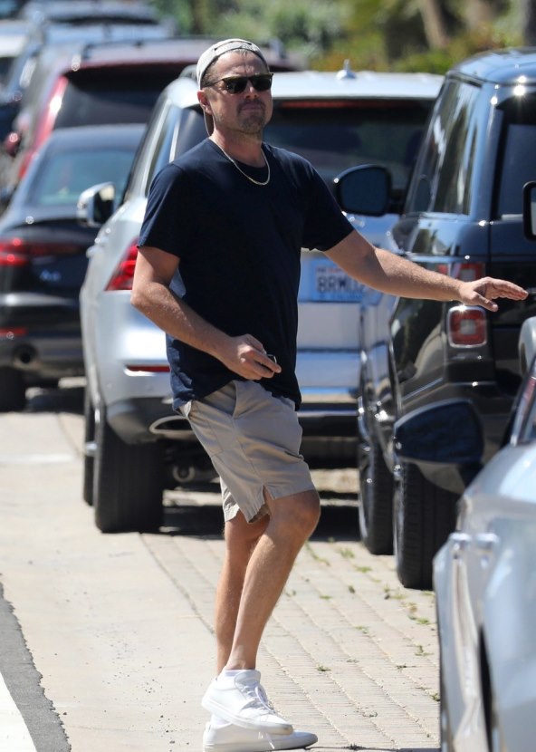 Leonardo DiCaprio