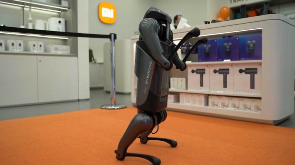 Xiaomi CyberDog 03.jpg