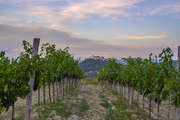 Pogled s Monte Êandrina na Motov(1).jpg