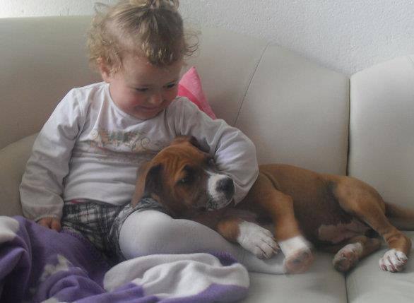 Zimski ugođaj u vašem domu uz Svilanit&Silan