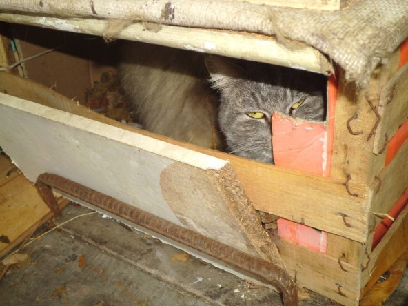 Zimski ugođaj u vašem domu uz Svilanit&Silan