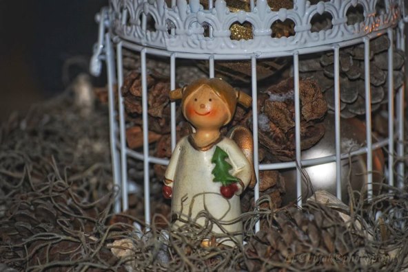 Zimski ugođaj u vašem domu uz Svilanit&Silan