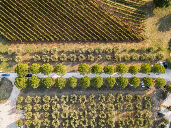 Meneghetti Wine Hotel & Winery