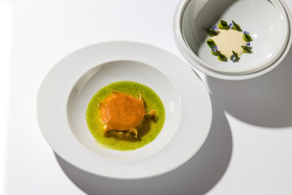 Baltazar 2.0 Grincek