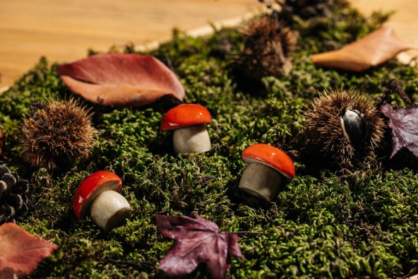 Baltazar 2.0 Mousse od prepelice u želeu od vrganja