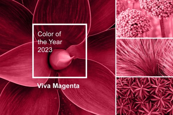 Viva Magenta boja 2023.