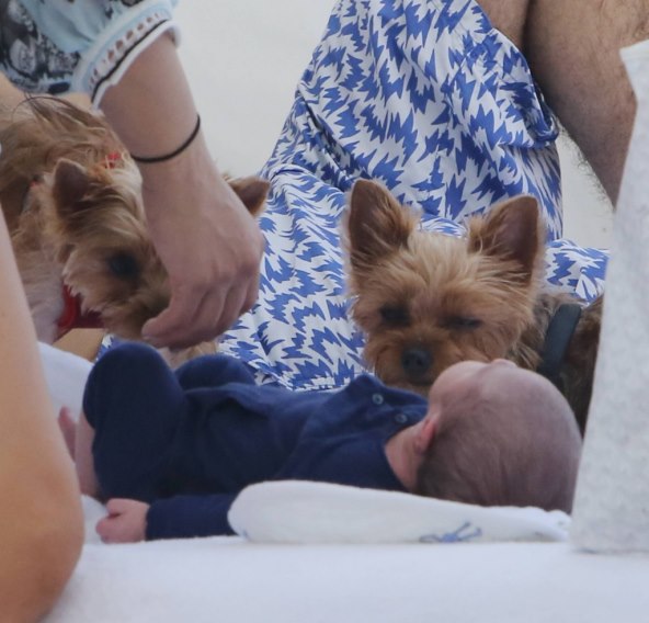 Simon Cowell i njegova Lauren uživali na plaži sa sinom i psićima