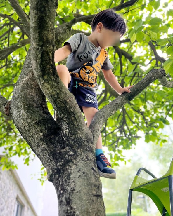 Sin Marijane Mikulić se popeo na drvo