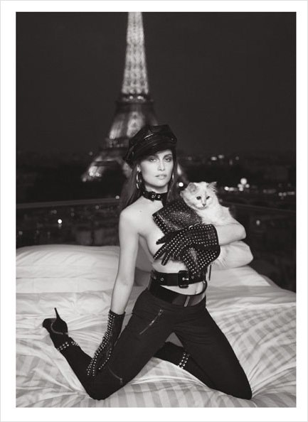 Choupette - mačka Karla Lagerfelda koja je osvojila svijet