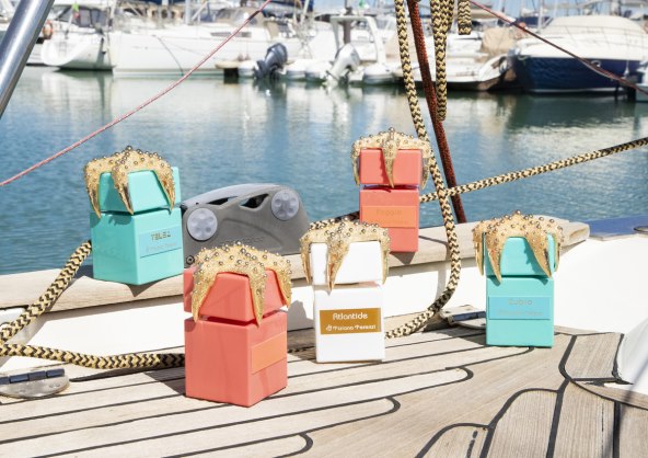 202207_TT_SEA STARS_02.jpg