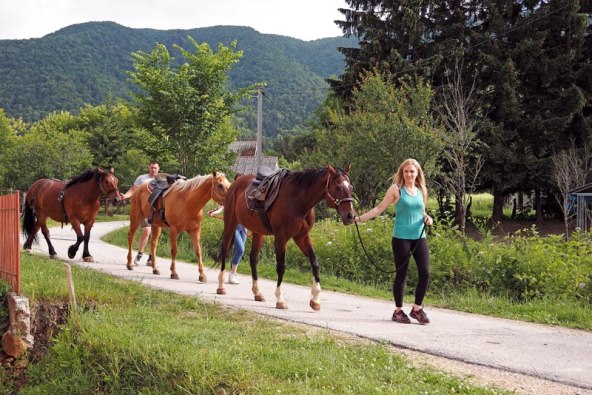 OPG Slaven Nikolic (1).jpg