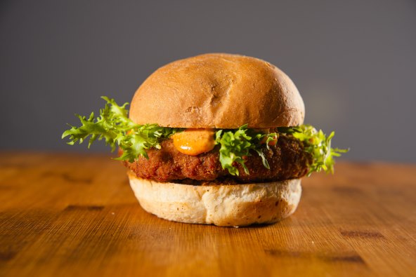 Tatin Fashiranac.jpg