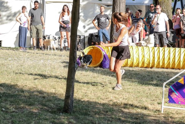 Festival pasa svih rasa_07_08_10 (1).jpg