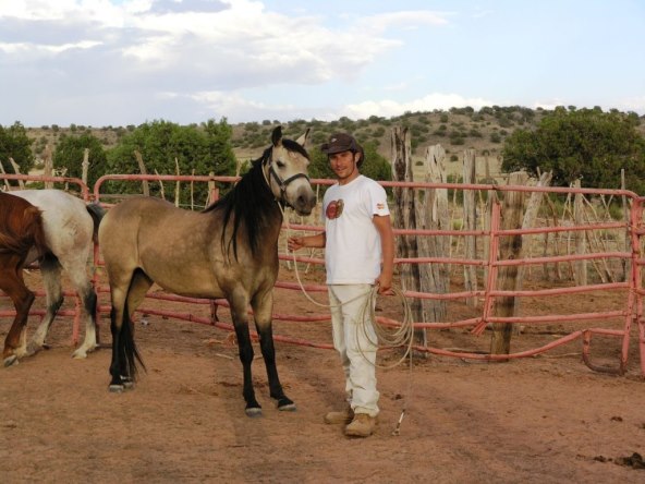 S 'konja' na četiri kotača do jurnjave na divljim konjima