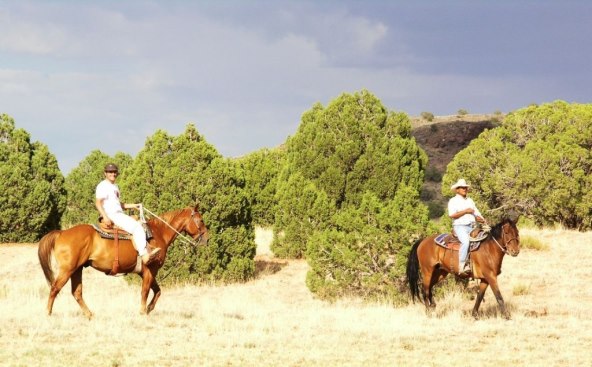 S 'konja' na četiri kotača do jurnjave na divljim konjima