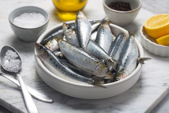 Sardine.jpg