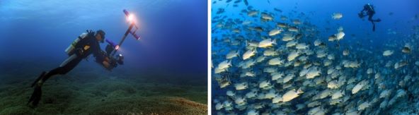 Editorial-Pawel-Achtel-Underwater-Cinematography_main3-F.jpeg