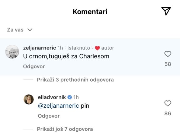 Elle Dvornik.