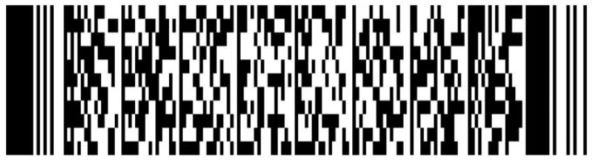 image1.jpeg