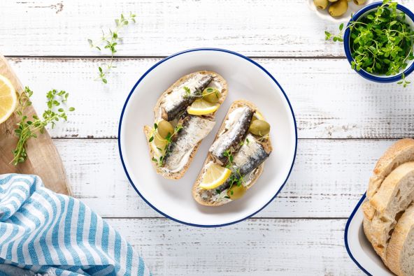 Sardine
