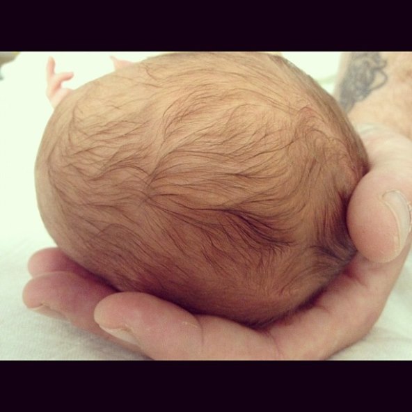 Obiteljski album Tori Spelling 