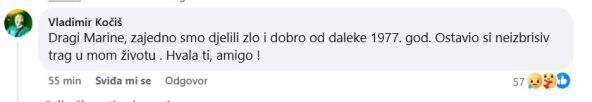 Vladimir Kočiš Zec
