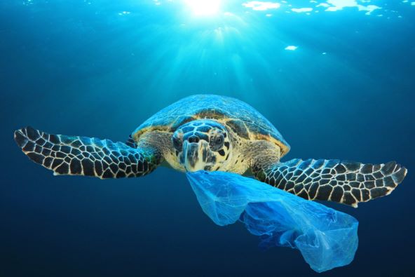KOJE SU TO KOMPANIJE Ovo su najveći zagađivači plastikom u svijetu