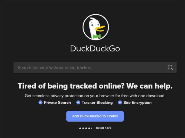 Duck (3).jpg