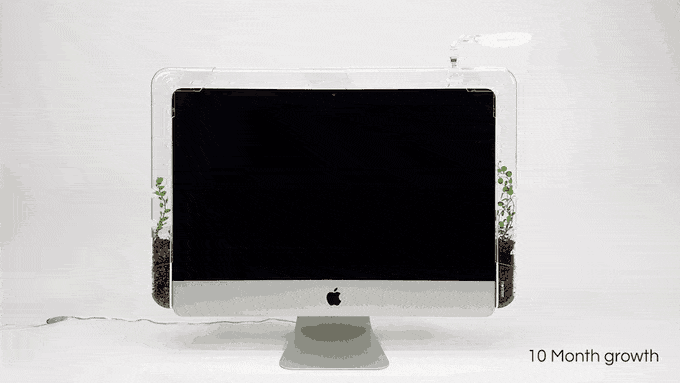 Monitree (1).gif