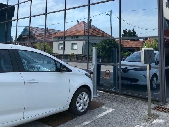 Punjac u rasvjetnom stupu (1).jpg