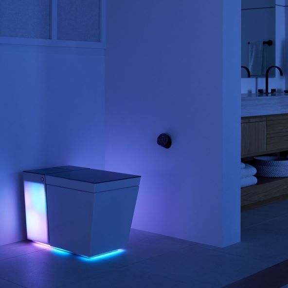 Kohler Numi (2).jpg