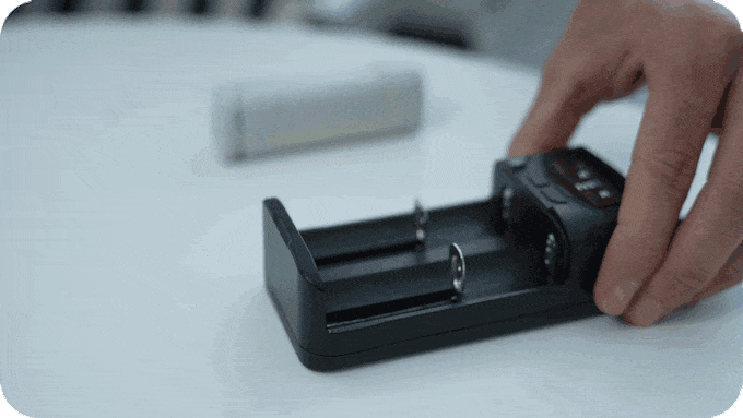 Buddie (2).gif